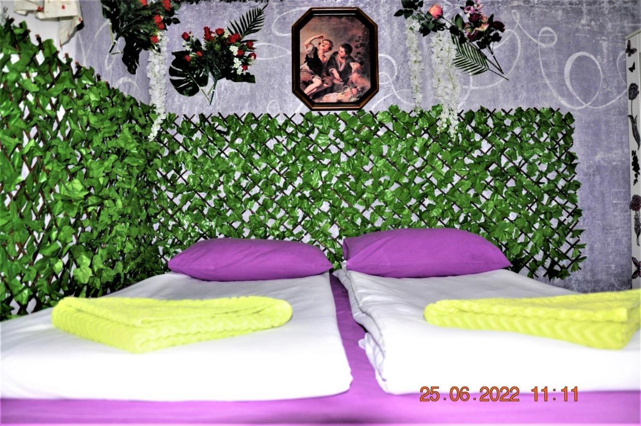 Social Guest House Sofia Extérieur photo
