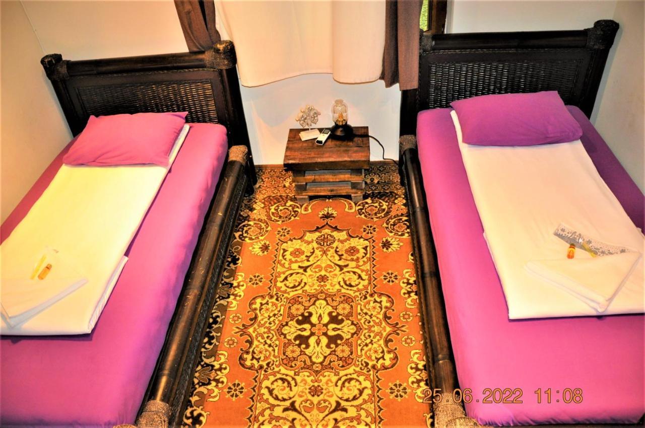 Social Guest House Sofia Extérieur photo